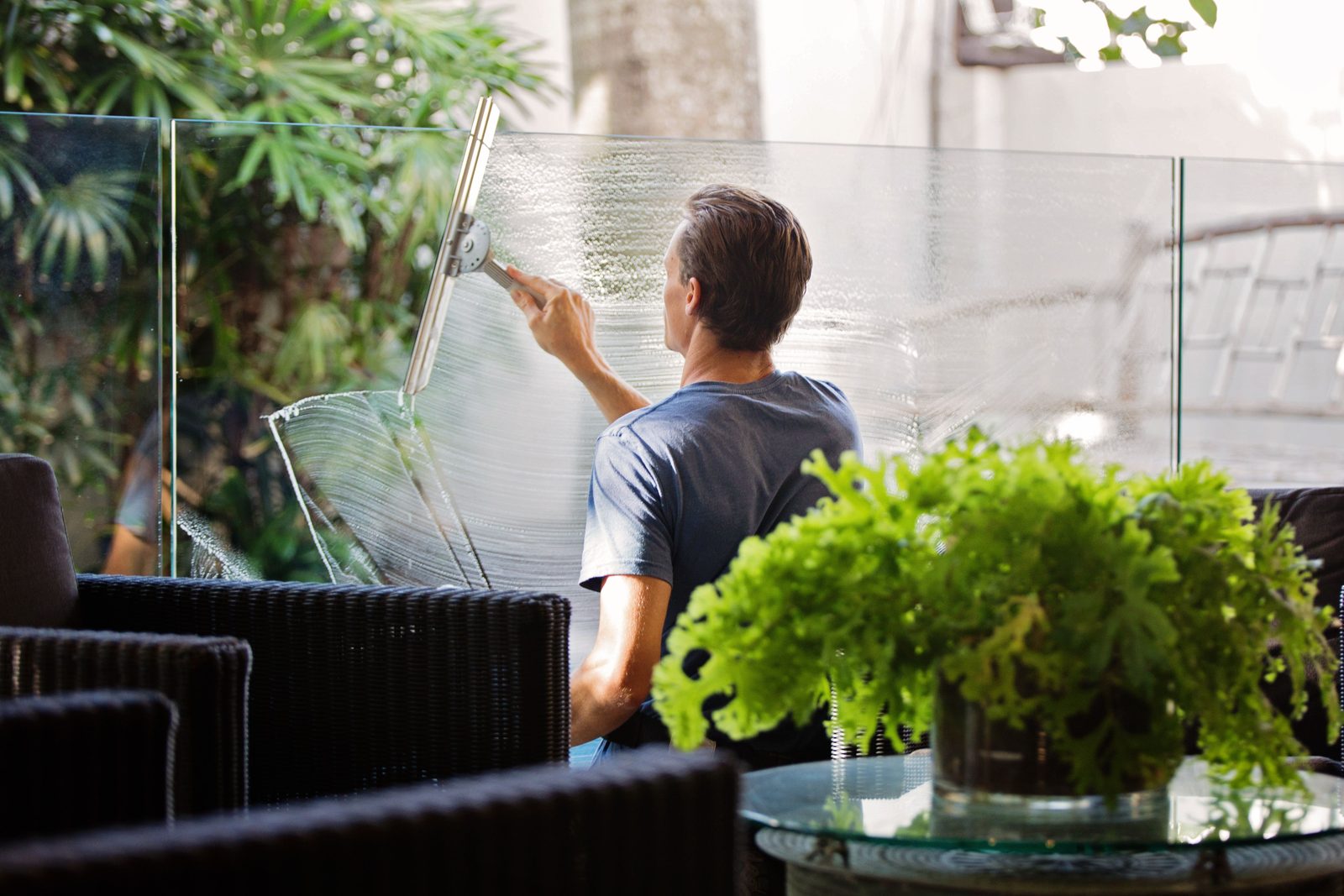 A man cleaning a glass balcony barrier with a squeegee, with a potted plant in the foreground